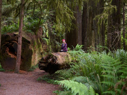 有关原本, 向上看, 坐下的免费素材图片