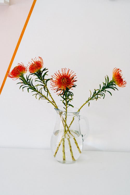 有关插花, 枕形, 植物群的免费素材图片
