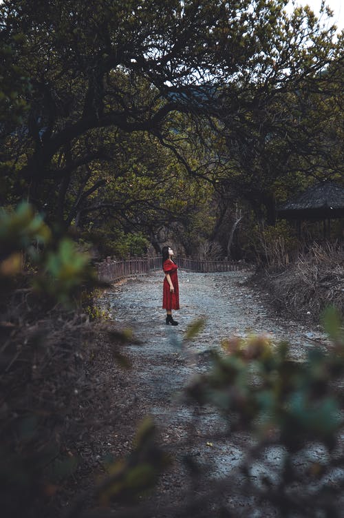 有关人行道, 公园, 冷静的免费素材图片