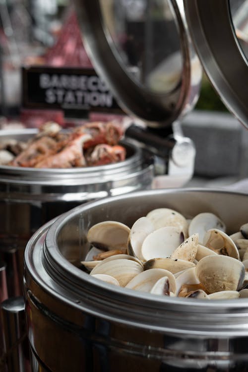 有关垂直拍摄, 壳, 海鲜的免费素材图片