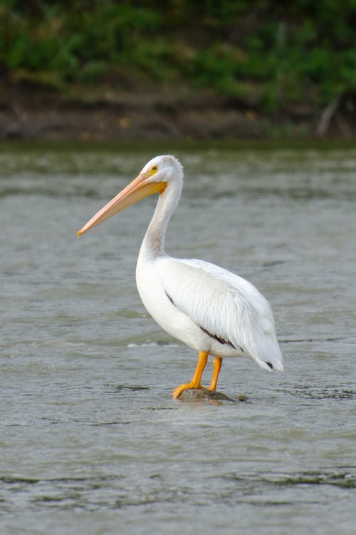 有关侧面图, 垂直拍摄, 户外的免费素材图片