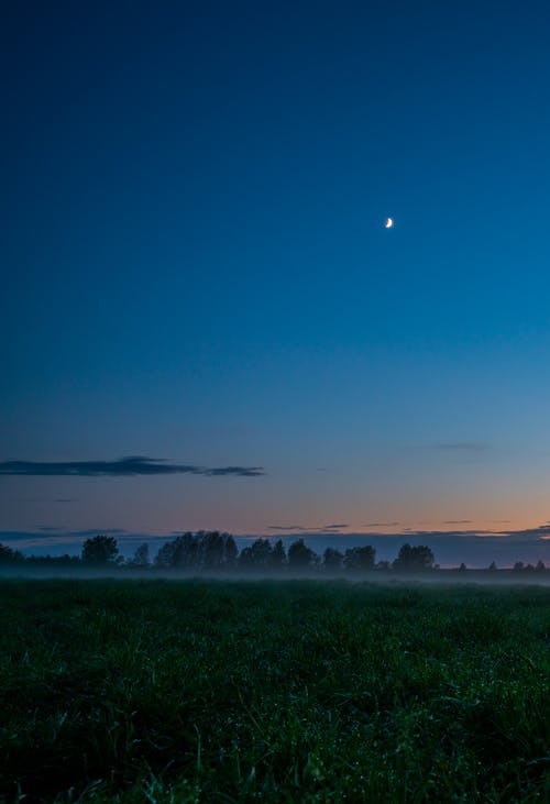 有关垂直拍摄, 天性, 户外的免费素材图片