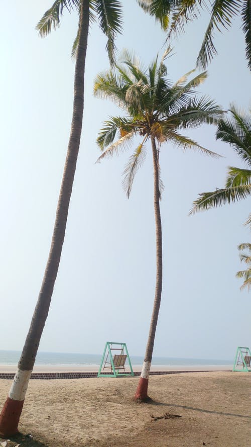 有关@户外, 垂直拍摄, 晴朗的天空的免费素材图片