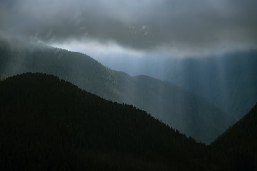 有关剪影, 多云的, 天性的免费素材图片