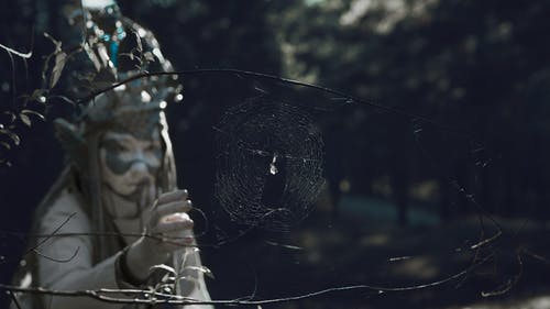 有关Cosplay, 喜怒无常, 头部的免费素材图片