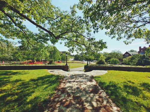 有关公园, 围栏, 户外的免费素材图片