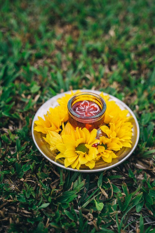 有关印度传统, 印度教节日, 排灯节的免费素材图片