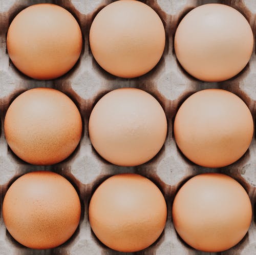 有关一般开销, 壳, 蛋的免费素材图片