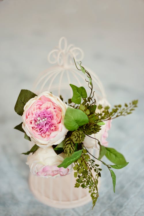 有关优雅, 微妙, 插花的免费素材图片