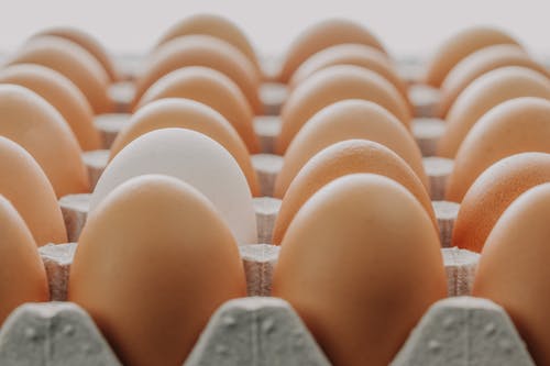有关棕色的鸡蛋, 浅焦点, 蛋壳的免费素材图片