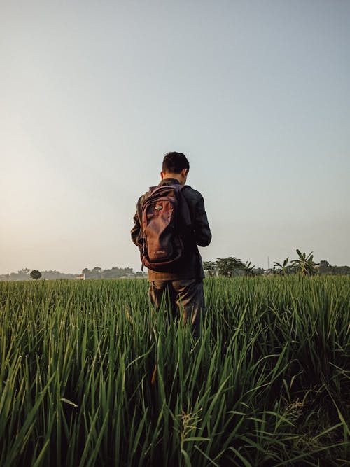 有关人, 垂直拍摄, 後视图的免费素材图片