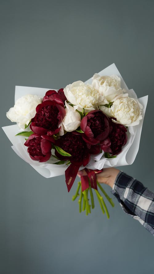 有关充满活力, 工作室拍摄, 微妙的免费素材图片