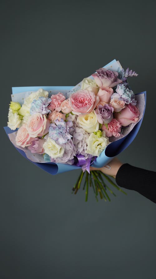 有关微妙, 插花, 柔和的的免费素材图片