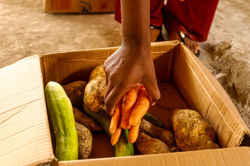 有关手, 新鲜, 红萝卜的免费素材图片