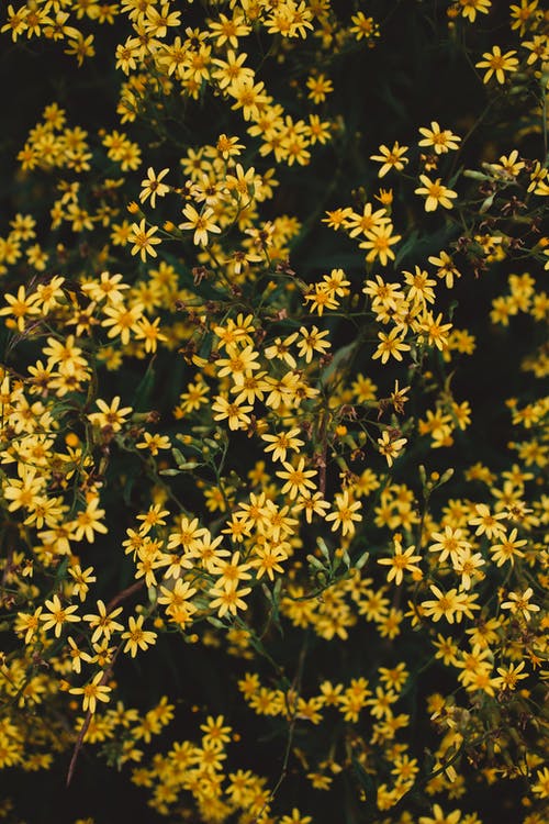 有关垂直拍摄, 增长, 小的免费素材图片