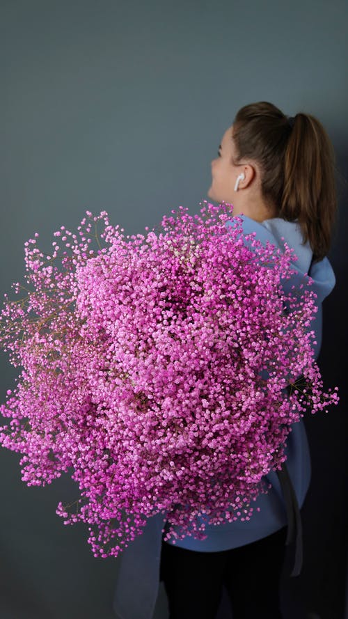 有关新鲜, 粉红色, 绽放的花朵的免费素材图片