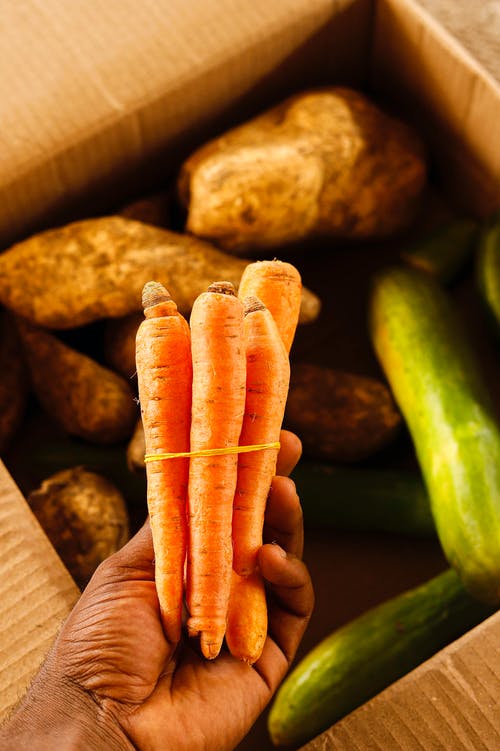 有关垂直拍摄, 手, 握住的免费素材图片