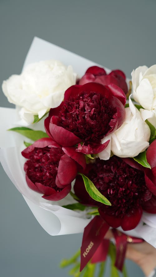 有关垂直拍摄, 插花, 特写的免费素材图片