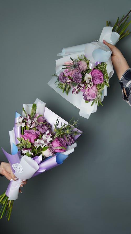 有关一般开销, 充满活力, 工作室拍摄的免费素材图片