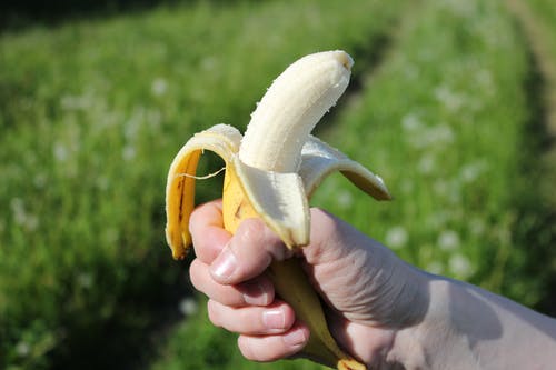 有关去皮, 户外, 手的免费素材图片