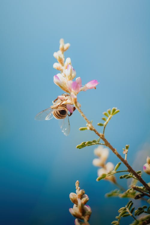 有关垂直拍摄, 工厂, 微距拍摄的免费素材图片