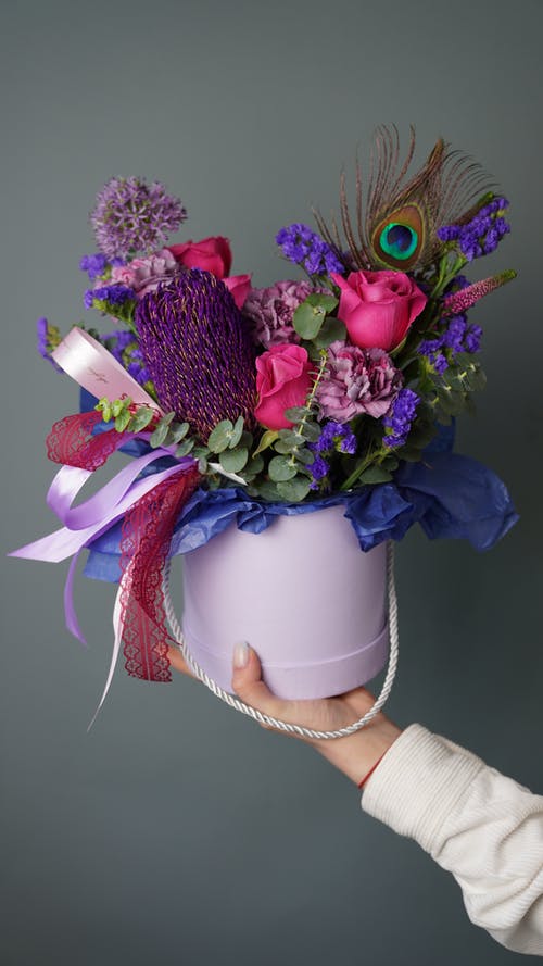 有关什锦的, 充满活力, 柔和的的免费素材图片