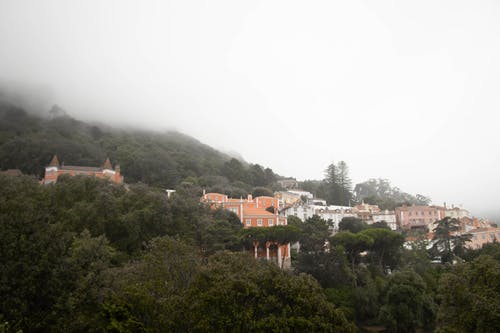 有关城市森林, 山, 山村的免费素材图片
