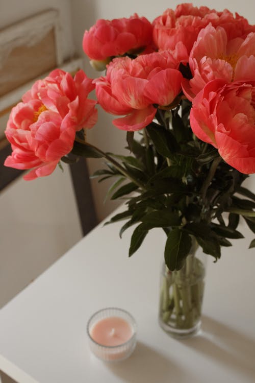 有关味道, 垂直拍摄, 植物群的免费素材图片