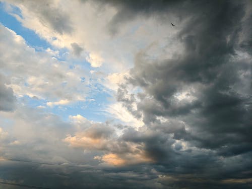 有关光, 冷静, 厚的免费素材图片