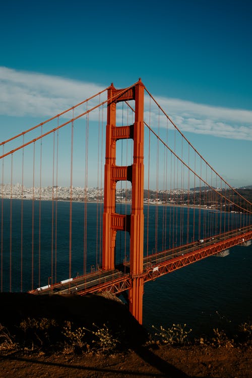 有关加州, 地标, 垂直拍摄的免费素材图片