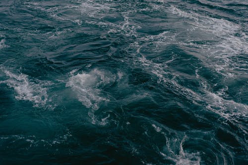 有关H2O, 壁纸, 招手的免费素材图片