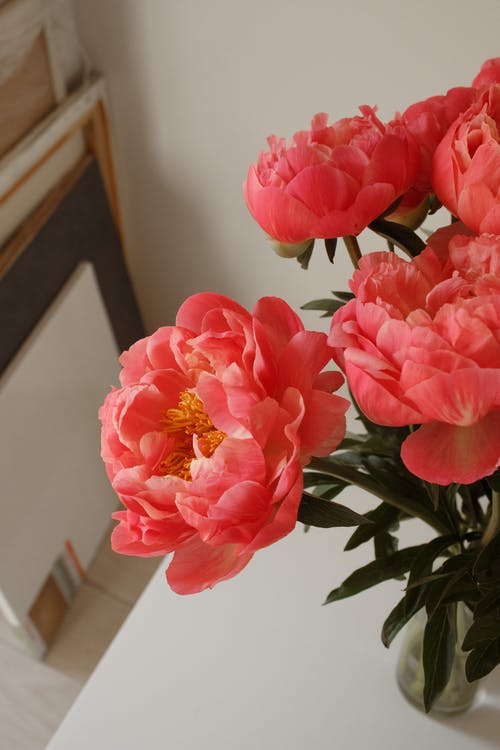 有关味道, 垂直拍摄, 植物群的免费素材图片