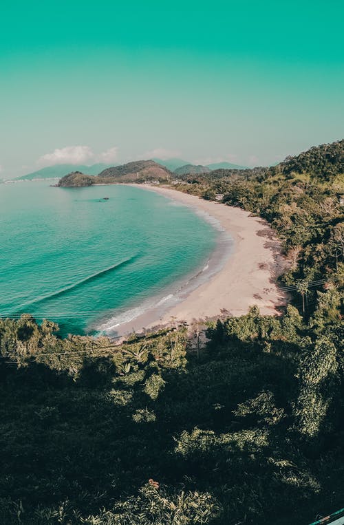 有关垂直拍摄, 天性, 户外的免费素材图片