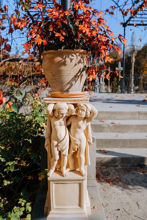 有关下落, 垂直拍摄, 增长的免费素材图片