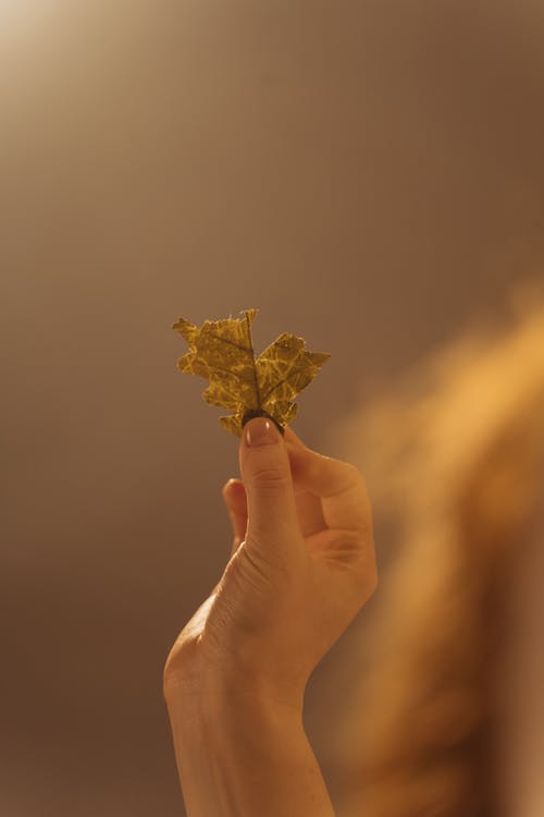 有关三温暖, 垂直拍摄, 浅焦点的免费素材图片