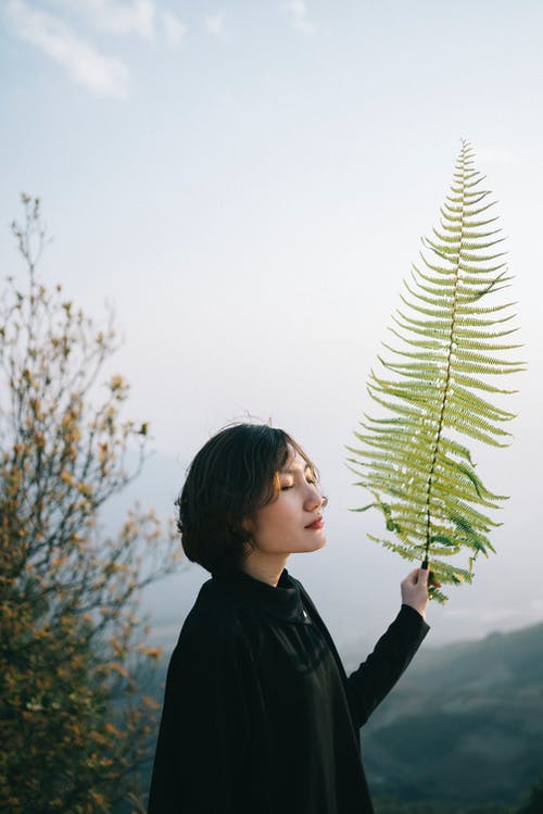 有关冥想, 垂直拍摄, 专注的免费素材图片