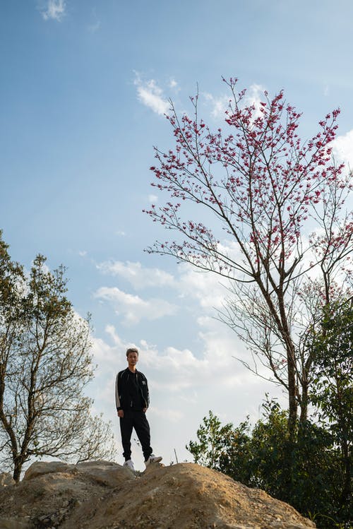 有关ngle, 人, 低角度拍摄的免费素材图片