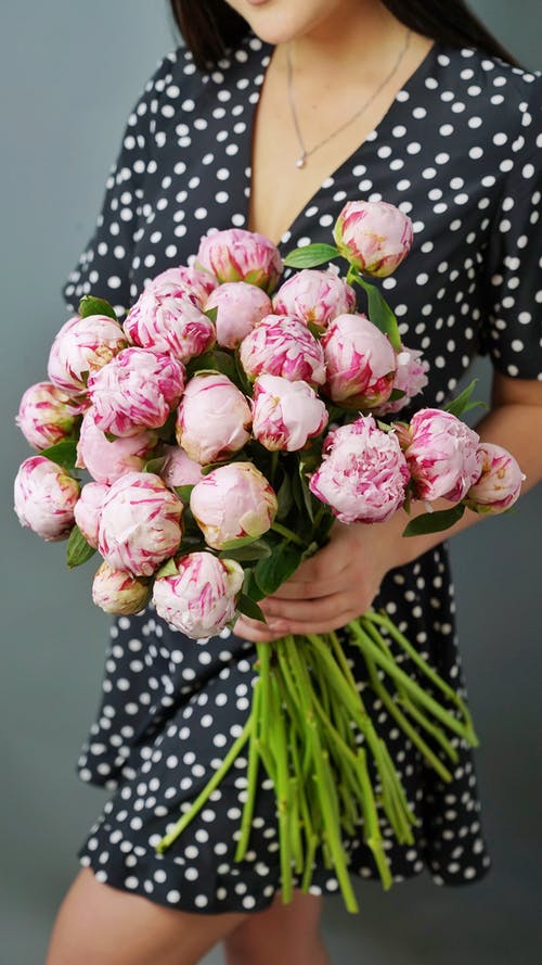 有关垂直拍摄, 握住, 漂亮的免费素材图片