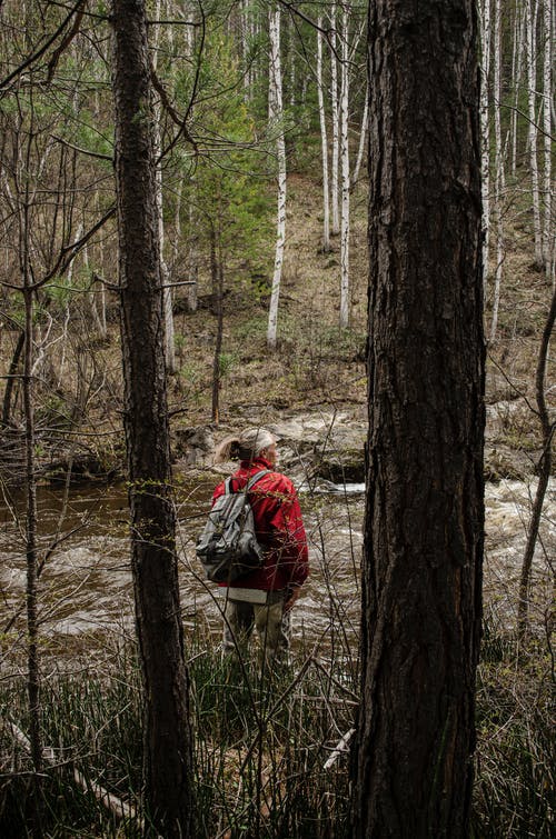 有关人, 冒险, 垂直拍摄的免费素材图片