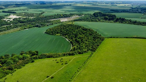 有关农业用地, 天性, 广大的免费素材图片