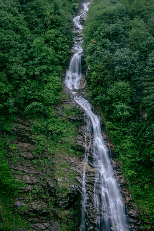 有关华丽的, 垂直拍摄, 壮观的免费素材图片