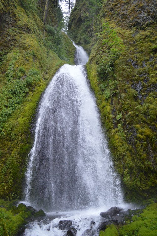 有关华丽的, 垂直拍摄, 壮观的免费素材图片