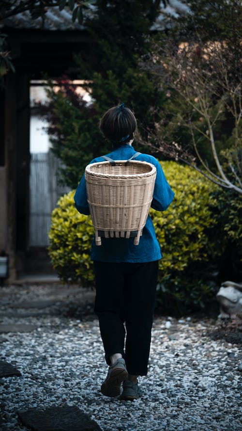 有关垂直拍摄, 後视图, 户外的免费素材图片