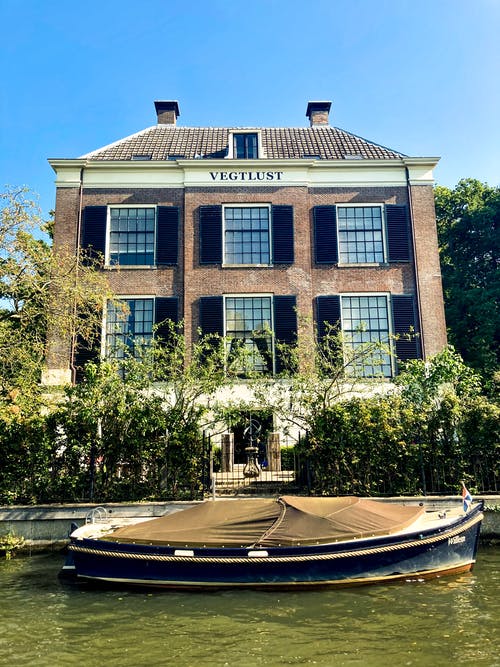 有关低层建筑, 垂直拍摄, 植物性欲的免费素材图片