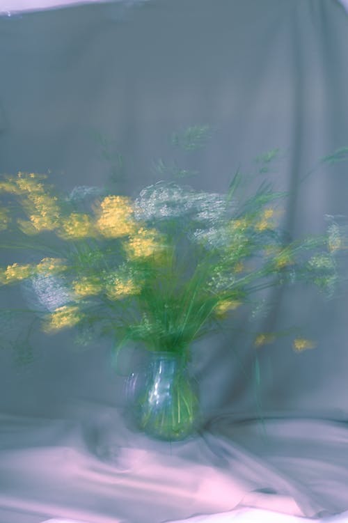 有关垂直拍摄, 花, 装饰的免费素材图片