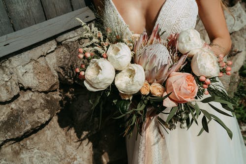 有关新娘, 植物群, 特写镜头的免费素材图片