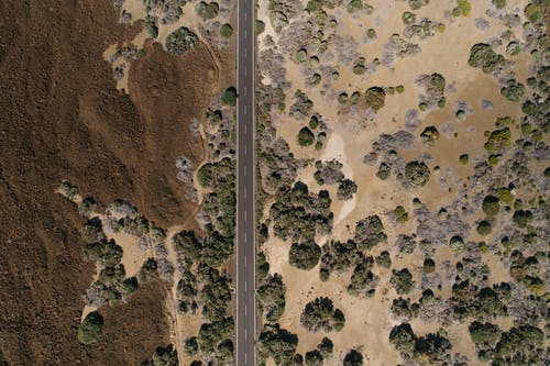 有关俯視圖, 沙漠, 無人機攝影的免费素材图片