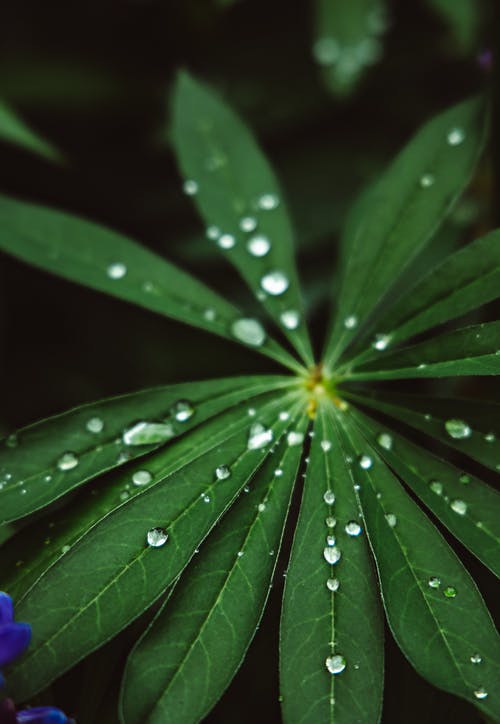 有关圖案, 垂直拍摄, 增長的免费素材图片