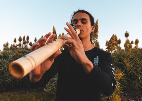 有关人, 吹, 吹奏乐器的免费素材图片