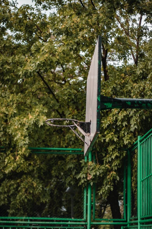 有关公园, 垂直拍摄, 户外的免费素材图片